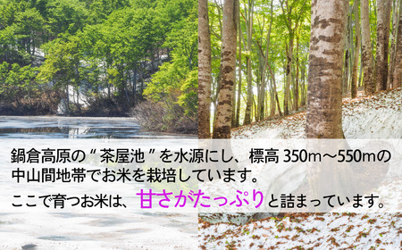 <令和7年産 新米> 沼田さんちの満点 にじのきらめき 10kg (5kg×2袋) 特別栽培米 (7-62A) 長野県 飯山市 おすすめ ランキング おいしい 高評価 大人気 ギフト こしひかり 米 お米