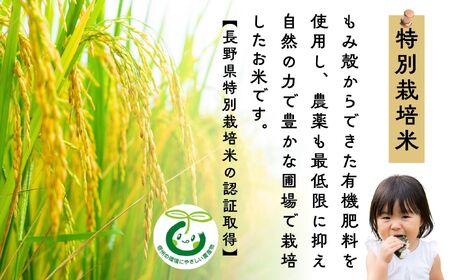 【令和７年産 新米】  特別栽培米 『奥信濃の棚田米 実の里』 こしひかり 精米 2㎏ (7-18B) お米 コメ 白米 ご飯 長野県 信州 飯山市 新米 令和7年 コシヒカリ 産地直送 農家直送