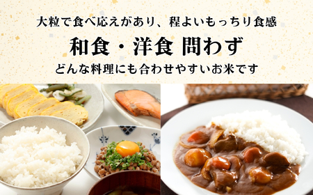 米 【10kg】 令和7年産 つきあかり 長野県産 【奥信濃飯山～木内ファームのお米～】7-13B