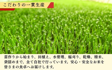コシヒカリ 10kg 令和7年産【豊米】コシヒカリ 長野県 飯山市_7-53B