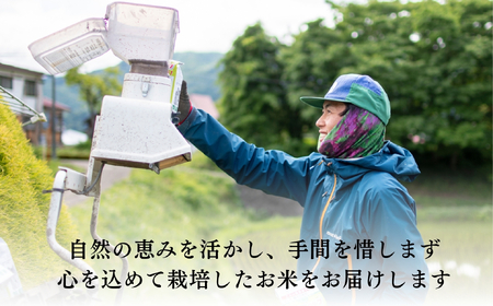 【令和7年産 新米】 瑞穂 豊米(ゆたかまい) こしひかり 精米 20kg(7-54A) 長野県 飯山市 おすすめ ランキング おいしい 高評価 大人気 ギフト コシヒカリ 米 お米