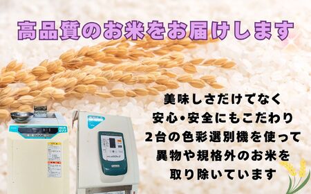 【令和7年産 新米】 瑞穂 豊米(ゆたかまい) こしひかり 精米 20kg(7-54A) 長野県 飯山市 おすすめ ランキング おいしい 高評価 大人気 ギフト コシヒカリ 米 お米