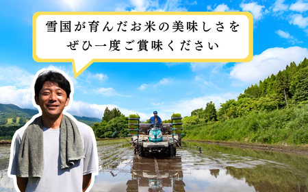 【令和7年産 新米】 瑞穂 豊米(ゆたかまい) こしひかり 精米 20kg(7-54A) 長野県 飯山市 おすすめ ランキング おいしい 高評価 大人気 ギフト コシヒカリ 米 お米