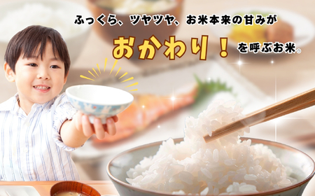 米 【5kg】 令和7年産 にじのきらめき 長野県産 【牛宿農園】7-78