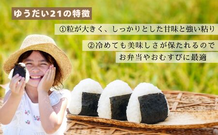 米 【5kg】 令和7年産 ゆうだい21 長野県産 【七〇八米】7-81