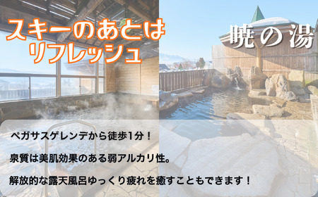 戸狩温泉スキー場　１日リフト券引換券 １枚(T-20)