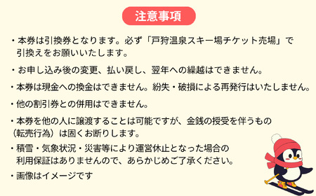 戸狩温泉スキー場　１日リフト券引換券 １枚(T-20)