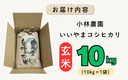 玄米 【10kg】 令和7年産 コシヒカリ 長野県産 【小林農園】7-87