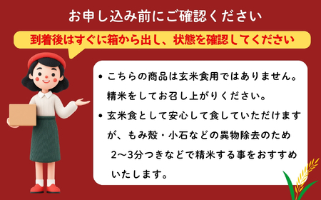 玄米 【10kg】 令和7年産 コシヒカリ 長野県産 【小林農園】7-87