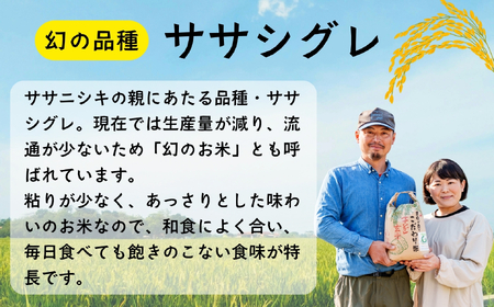 精米7分つき 【4.6kg】 令和7年産 ササシグレ 長野県産 【やよい農園】7-89