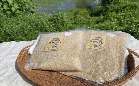 精米7分つき 【4.6kg】 令和7年産 ササシグレ 長野県産 【やよい農園】7-89