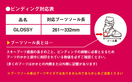 スキー板 【147cm】 大人用 ビンディング付 sw1008-147