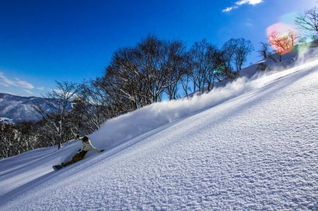 C 7 7 共通リフト券 信越自然郷スーパーバリューチケット 長野県飯山市 ふるさと納税サイト ふるなび