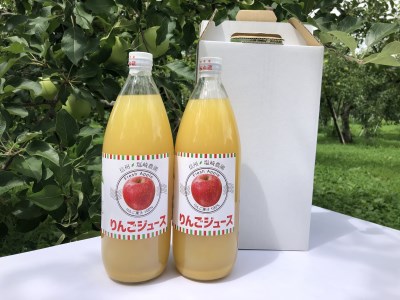 信州１００％リンゴジュース（1L瓶×2本）(A-06)