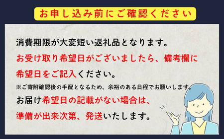 信州産 手打ち 生そば 「信州十割 ぼくち 蕎麦」6食セット （Bf-002） 長野県 飯山市 おすすめ ランキング おいしい 高評価 大人気 ギフト 産地直送 ソバ  ざる そば 十割 蕎麦 つゆ 