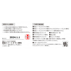 東急リゾートタウン蓼科利用券(1,000円分×9枚)2024年12月1日から6か月間有効チケット【1421788】