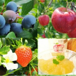 信州蓼科高原産果実の手作りジャム(プレザーブスタイル)140g入り3種類詰め合わせ_惣菜・加工品 ジャム 缶詰・瓶詰 _【1430789】