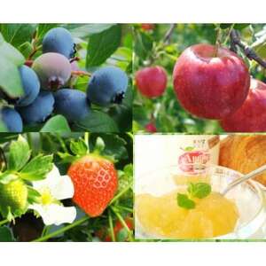 信州蓼科高原産果実の手作りジャム(プレザーブスタイル) 70g×3種セット(袋入り)_惣菜・加工品 ジャム 缶詰・瓶詰 _【1465948】