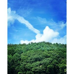 八ヶ岳のお膝元で無人航空機国家資格講習　　二等無人航空機操縦士【基本】【初学者】_旅行券・チケット   _【1510595】