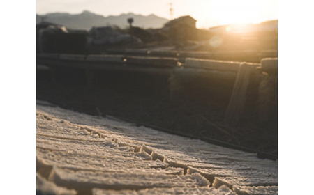 そのまんま寒天 150g(50g×3袋)_魚介・海産物  海苔・海藻 _【1516646】