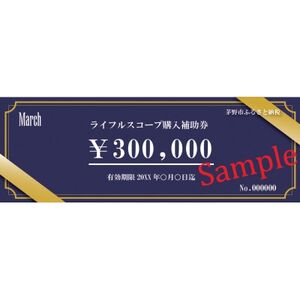 Marchブランド「ライフルスコープ」(30万円分購入補助券)_旅行券・チケット   _【1583212】