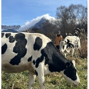 八ヶ岳農場 復刻版バニラアイス 6個_菓子・スイーツ アイス・ジェラート  _【配送不可地域：離島】【1595891】