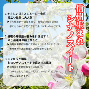 【2026年先行受付】長野直送!信州八ヶ岳のりんごシナノスイート約10kg(24～36玉)蓼科高原_果物・フルーツ りんご  リンゴ 林檎_【1605263】