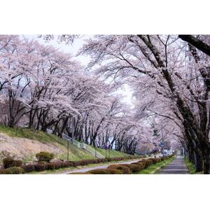 【返礼品なし】茅野市ふるさと応援寄附金 1口:1,000円