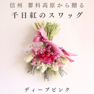 信州八ヶ岳の麓から贈る 千日紅のドライフラワースワッグM(ディープピンク)【1659600】