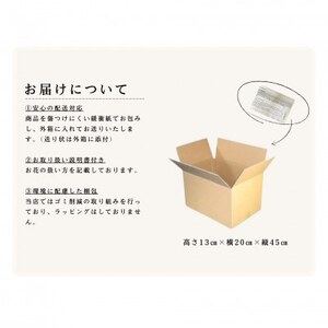 信州 八ヶ岳の麓から贈るドライフラワースワッグ M(イエロー)【1662262】