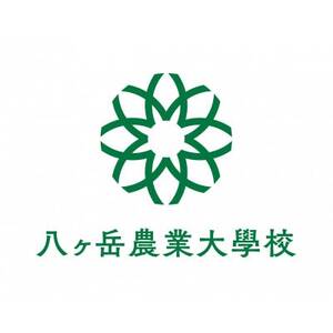 【2026年先行予約】 メロンのように甘い 生とうもろこし 10本【配送不可地域:離島】【1662928】