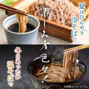 十割そば 信州そば3人前つゆ付き×3個 半生タイプ お土産 渡辺製麺 長野 信州八ヶ岳よりお届け【1669339】