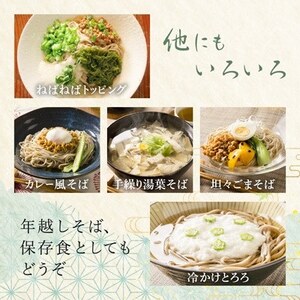十割そば 信州そば3人前つゆ付き×6個 半生タイプ お土産 渡辺製麺 長野 信州八ヶ岳よりお届け【1669341】