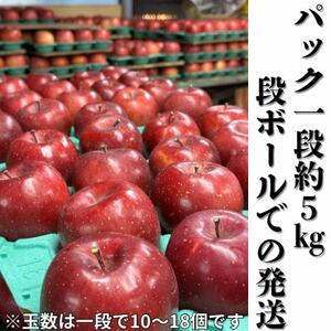 長野直送!信州八ヶ岳のりんごサンふじ約5kg(10~18玉)蓼科高原果物【1692242】