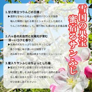 長野直送!信州八ヶ岳のりんごサンふじ約5kg(10~18玉)蓼科高原果物【1692242】