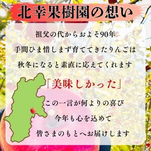 長野直送!信州八ヶ岳のりんごサンふじ約5kg(10~18玉)蓼科高原果物【1692242】