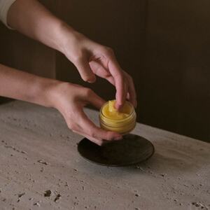 アカマツ バーム 樹木【1696317】