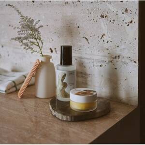 アカマツ バーム 樹木【1696317】