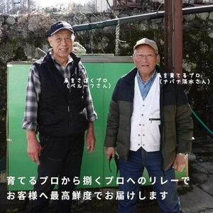 冷凍 八ヶ岳信州サーモン 150g×2パック【配送不可地域：離島】【1697929】