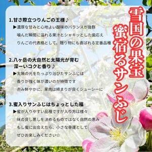 サンふじ 約5kg(16～18玉) 長野直送 信州八ヶ岳 りんご 蓼科高原【1701707】