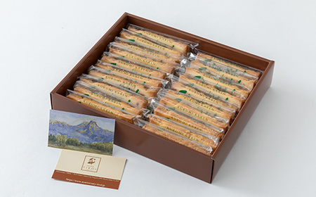 くるみかれん20個入_くるみかれん くるみ 胡桃 ギフト スイーツ おやつ 手土産 個包装 20個 長野 常温 クッキー 洋菓子 お取り寄せ 人気 おすすめ 送料無料 贈答 デザート_【1416395】