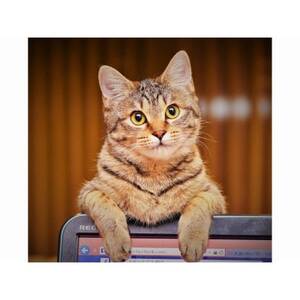 【3種類の鍋料理から選べます】1泊2食付き　ツインルーム　ペア宿泊チケット_旅行券・チケット 宿泊券  _【1421640】