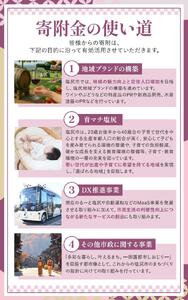 【ふるなび限定】五一わいん エコノミー(白)1.8リットル | ワイン 五一わいん 白 デイリーワイン 長野県 塩尻市 FN-Limited