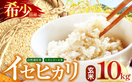 令和5年産 自然栽培(農薬・肥料不使用、天日干し)イセヒカリ 10kg 玄米[5993328]