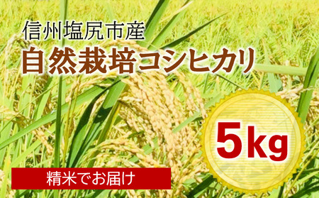 令和6年産】自然栽培「豊コシヒカリ」精米 20kg （令和6
