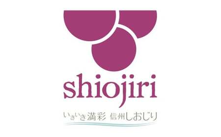 信州塩尻おやきセット 14個セット（旬菜花）
