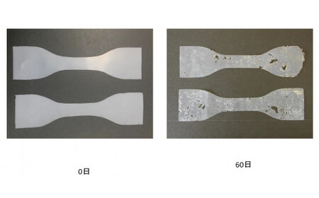 土に還るエコなゴルフティー かんざしてぃー×4セット(ロング2 ショート2)