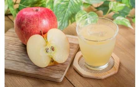 アルプス信州りんごストレートジュース（缶）160g×16本[果汁飲料　長野県産]