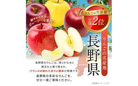 アルプス信州りんごストレートジュース（缶）160g×16本[果汁飲料　長野県産]