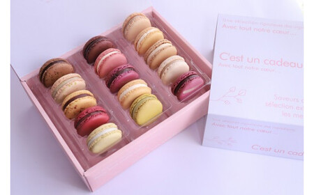 『G7軽井沢』にて提供　マカロン15個詰合せ | マカロン まかろん りんご蜂蜜 スイーツ 桔梗ヶ原 メルロ 赤ワイン シトロン ミエル レモン フレーバー 詰め合わせ 甘い 塩尻市 長野県 